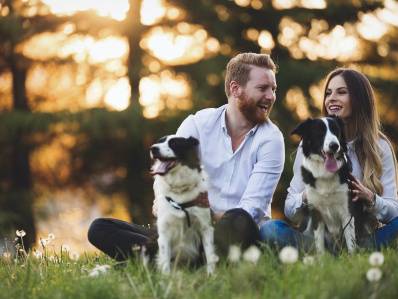 Building a Strong Attachment Bond with Your Dog