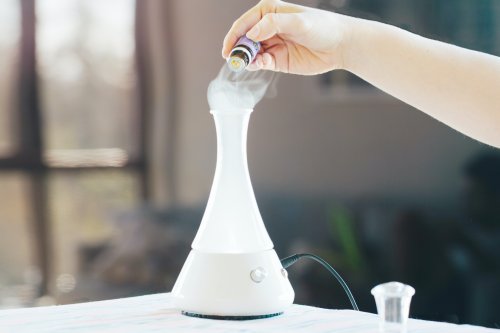 diffusing aromatherapy for dogs
