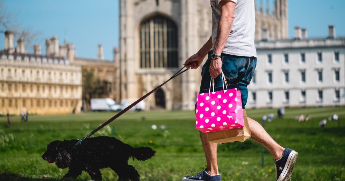 Leash Pulling how to stop your dog pulling on leash Canine Body Balance