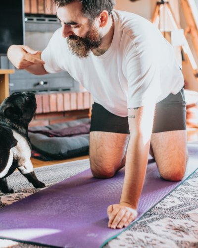 Setting up for Canine Fitness Training: A Quick Guide
