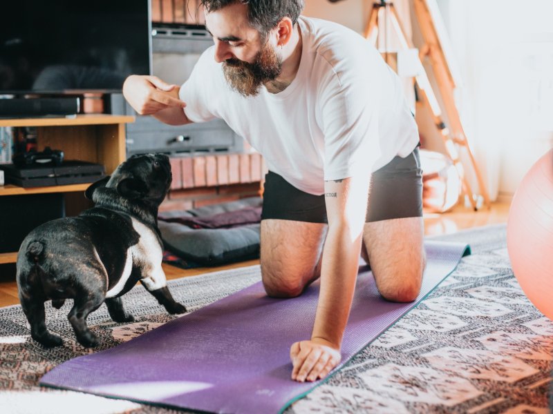 Setting up for Canine Fitness Training: A Quick Guide
